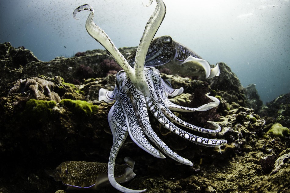 �����������������뽻�伾��