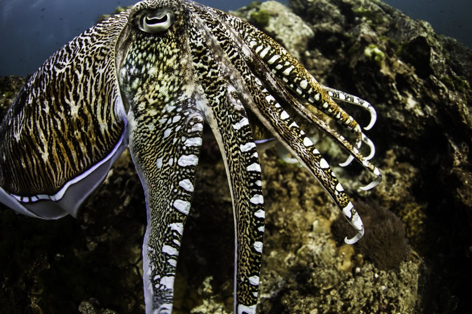 �����������������뽻�伾��