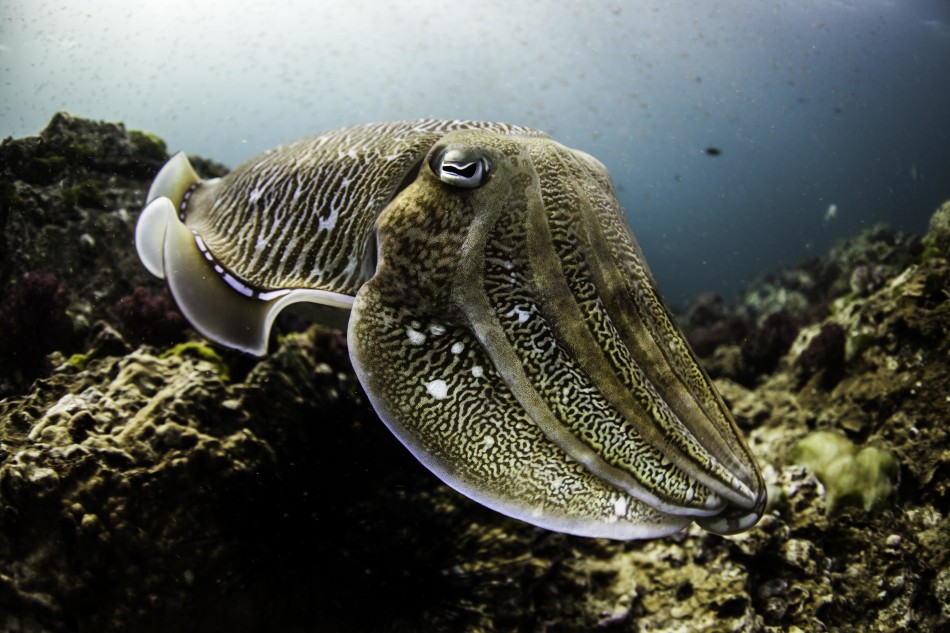 �����������������뽻�伾��