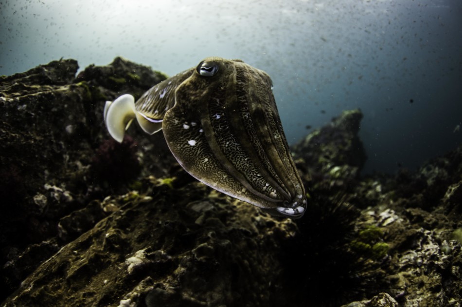 �����������������뽻�伾��