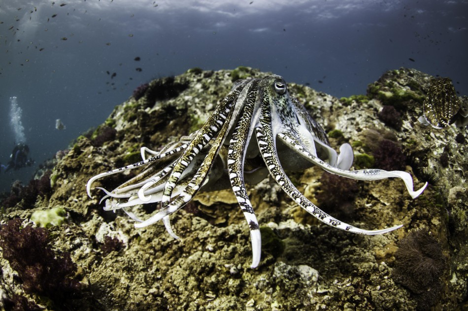 �����������������뽻�伾��