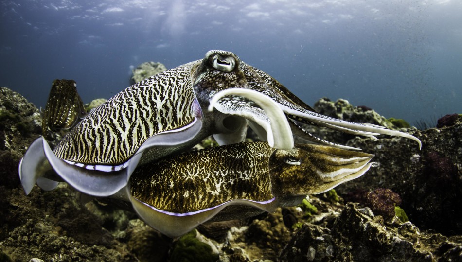 �����������������뽻�伾��