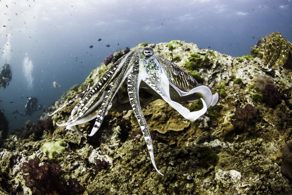 �����������������뽻�伾��