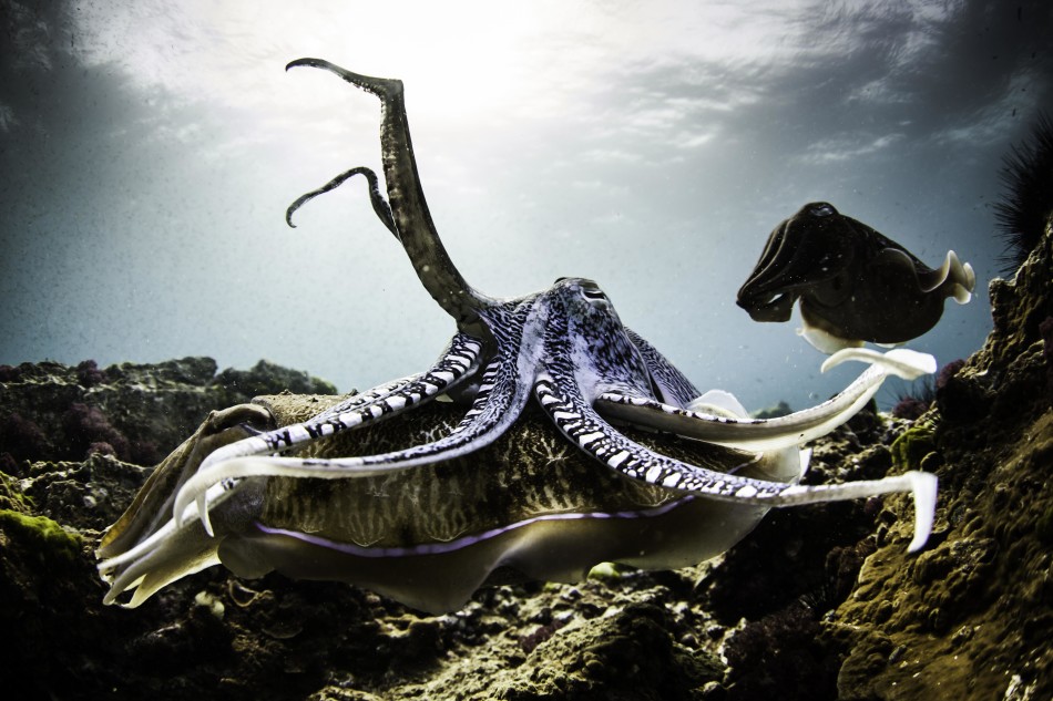 �����������������뽻�伾��