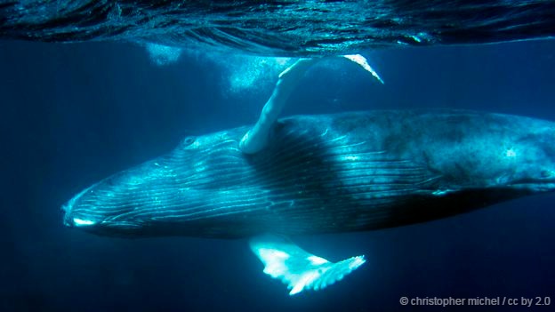 �����ֱ���Ϊɱ�˾������ǲ�ɱ�뾨��ԭ���Լ���ɱ��Ƶ���̶ȣ�һ��ʼ����Ϊ����֪����һ���棬����Ҳ��֪���뾨���Ӧ�Ի����Ĺ��������ڣ���ѧ�ҵ�һ�μ�¼���˻�������