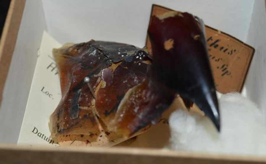 ˹֮ѧҿʼоϵǷʵģЩǷ๹вǵ״ӺζΪʲôںǶԺѾ