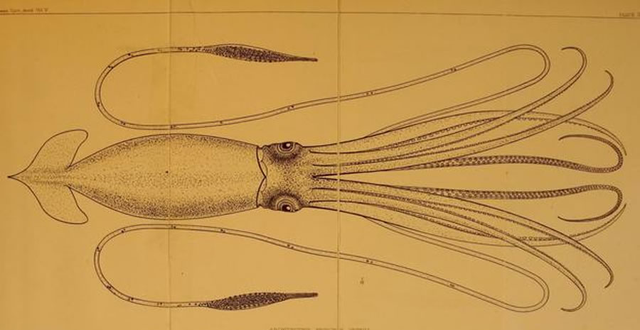 Ŵ񻹷ֺͨ߼װϵ򣬺ܹڶʱڸˮ棬³֮Ͼ˾޴СڲڹϵĴ˵г֣Ҳд