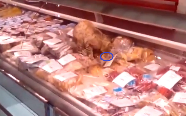 èʳֻݵһ£ѸĿ꣬˺װֽ