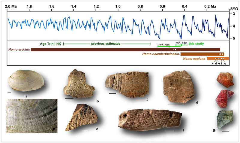 印度尼西亚爪哇的早期人类曾经用贝壳生产工具和雕刻