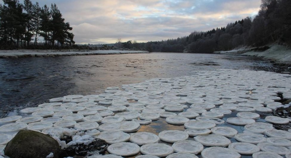 ר��ָ��ĭ���ƺ������¼���������γ���Щ���صı��顣