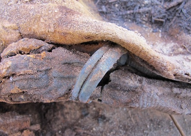 一具只有18个月大女婴的木乃伊,手上仍有手镯。