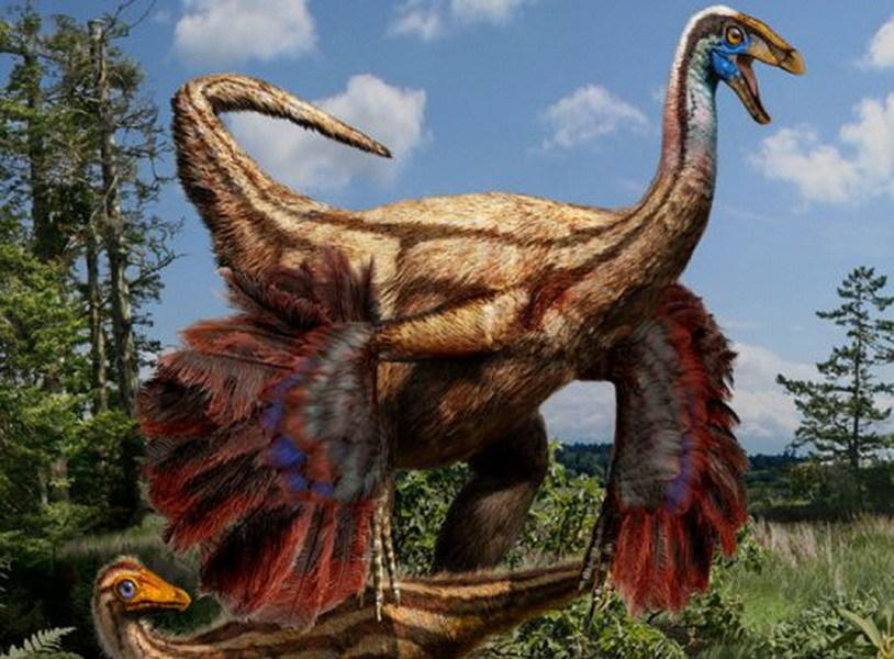 恐龙如何进化成为鸟类