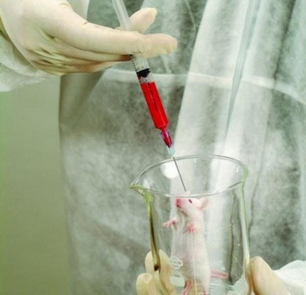 年轻人血液是真实的“青春精华素”