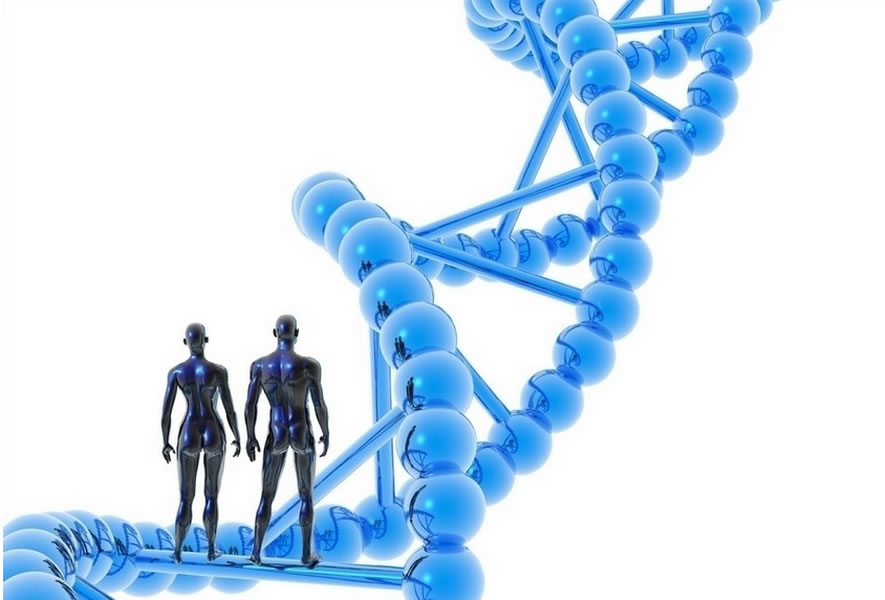 扩大遗传密码符号