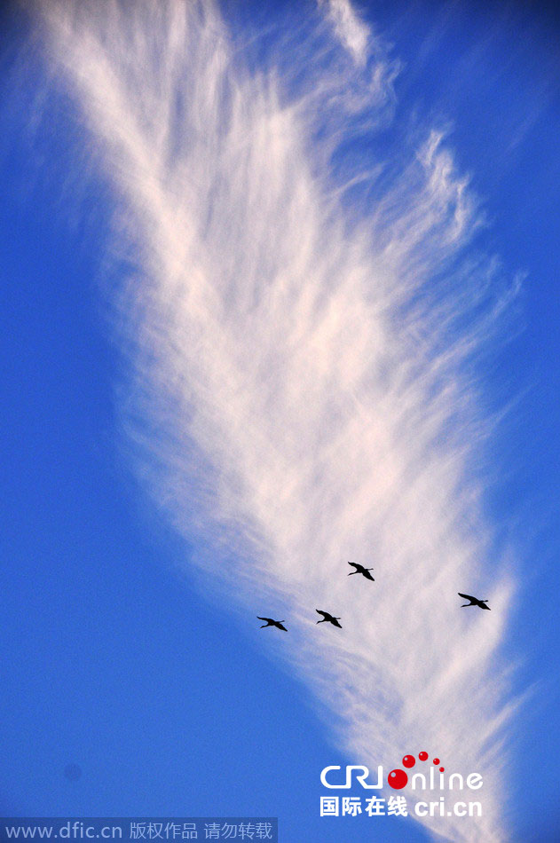 �ݺ����Ҽ���Ȼ��������ճ������ƺھ�����ë��״���ƶ�