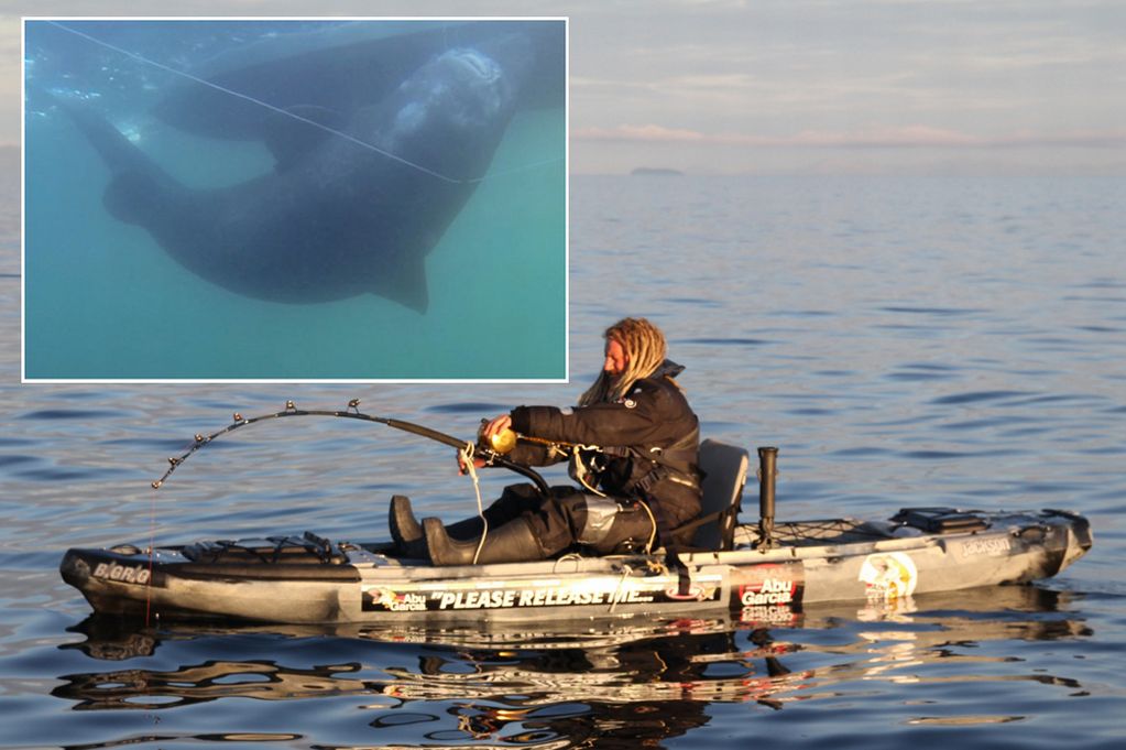 ʿרҽͼŲ򲶻һ565ĸ