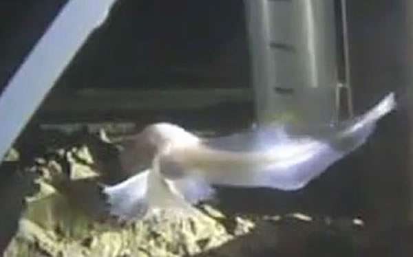 ����ĺ�����Ϣ��ȼ�¼���ƣ�̫ƽ���������ɺ���8145������Ϸ��֡�ʨ���㡱