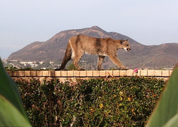 �о�������ɽʨ�ڼ��к�Ժǽ���ε�����Ƭ