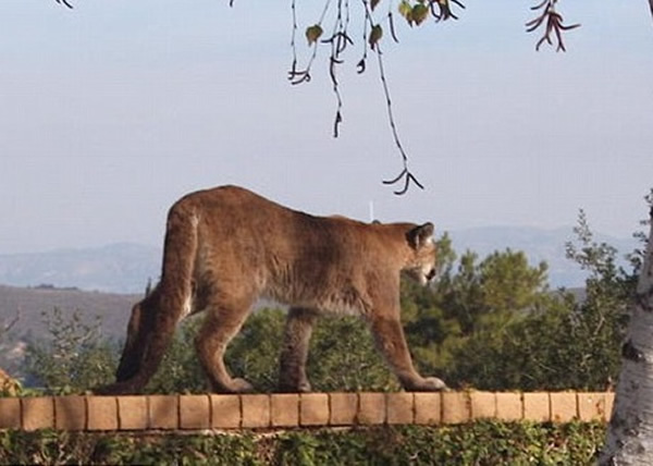 ɽʨ���ƽ���14���´����������ʧɢ�������١����̡���