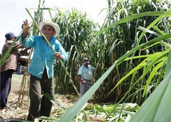 �о����ֲ�����ͥ�����뽡���븣���ĸ����й���