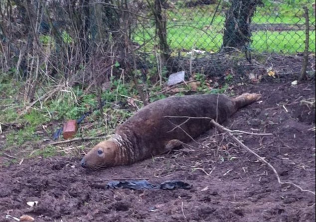 �������˷���ʱ��������Ţ����