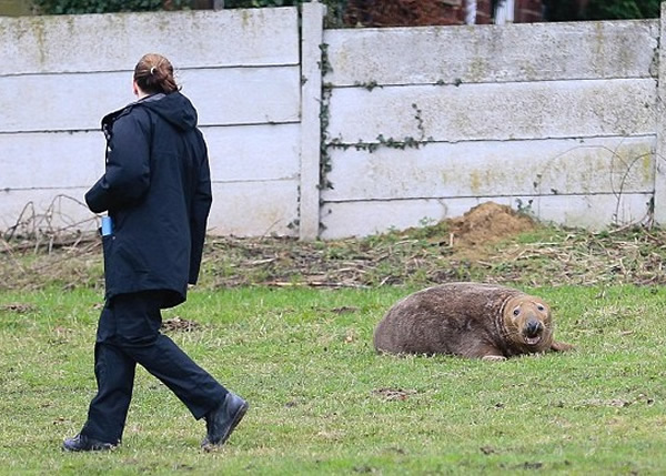 ��ָ��������̫���ơ�