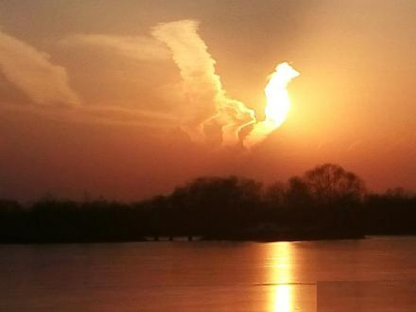 ������ճ��֡����ˡ�չ��������ϼ���