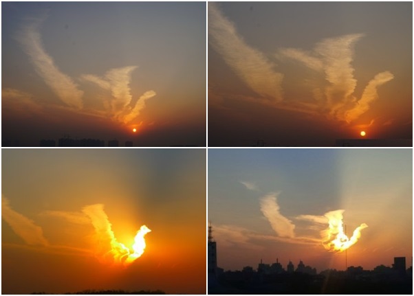 ��ϼ�������������γɣ�ٲ�硰���ˡ������衣