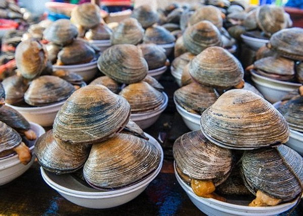 一旦外壳无法保护到青口,它们的数量或会大减。