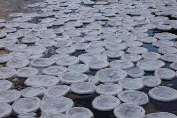 苏格兰河流上的神秘「荷叶冰」现象