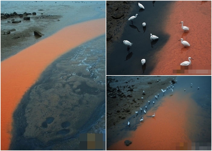 污水排放导致海水出现了明显的对比,一边是青黑色,一边褐色,泾渭分明得令人吃惊。