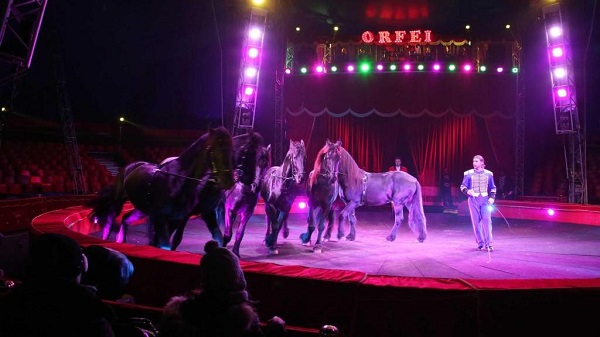 奥尔弗伊马戏团在意大利布雷西亚表演时被查封