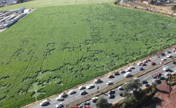 ī���緢�ֲ���������Ȧ ���ڳ�������������Ϊ