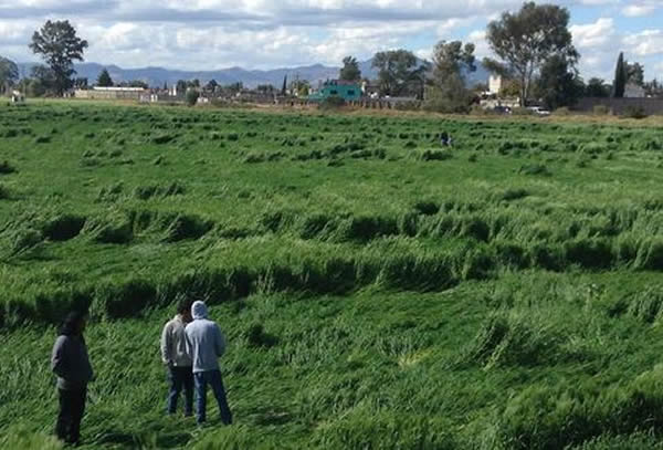 ����������Ұ�Ӳ�