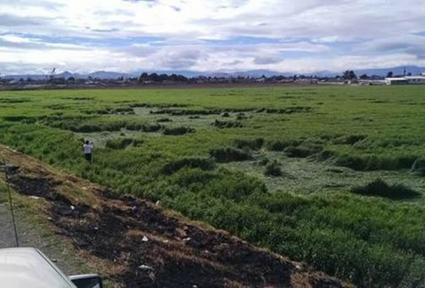 ͼ����״�ǲ������