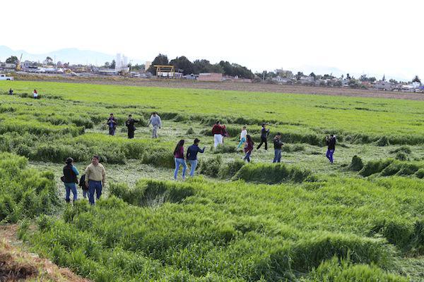 ����Ȧ������������ǰ���ۿ�