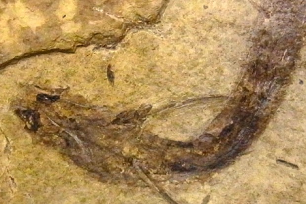 3ǰĹࡪϼзӸϸ׶ϸʯ