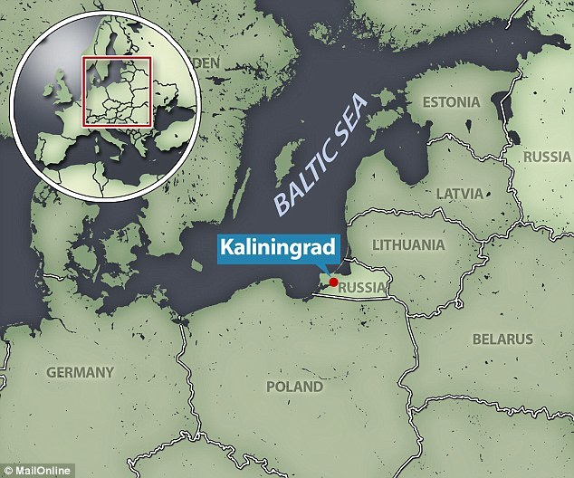 科学家在波罗的海加里宁格勒附近的一座矿山发现这个植物新种。据信,它和发现于南非好望角西南部的沾黏陷阱植物——捕虫树有关。