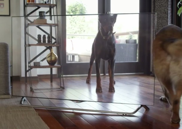 ���ӳ��ֵĻ���̫дʵ��ƭ��èè������