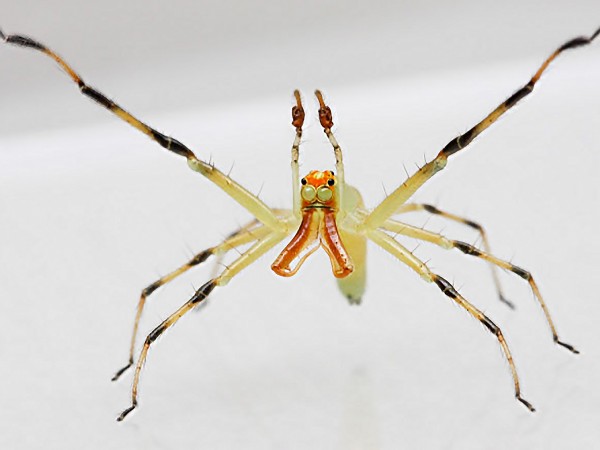 ������С�������