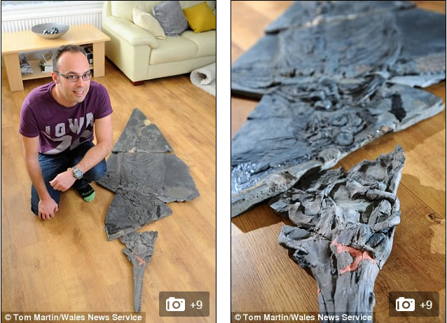 据悉,乔纳森和他的哥哥花费了一天时间,挖掘出重量达60公斤的鱼龙骨骼化石,乔纳森将它描述为“庞然大物”。