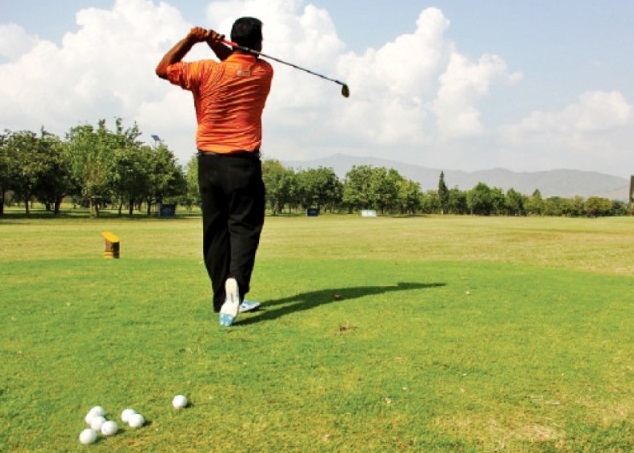 �������4ֻ˫�Ƶ��Ļ��ʣ����߶�������������һ���붴ͬ���ѵá�