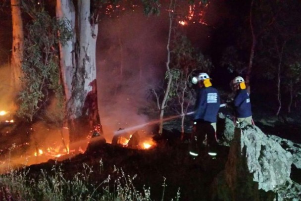 �����ϰ�ʡɭ�ִ��ʧ�� 1983����������