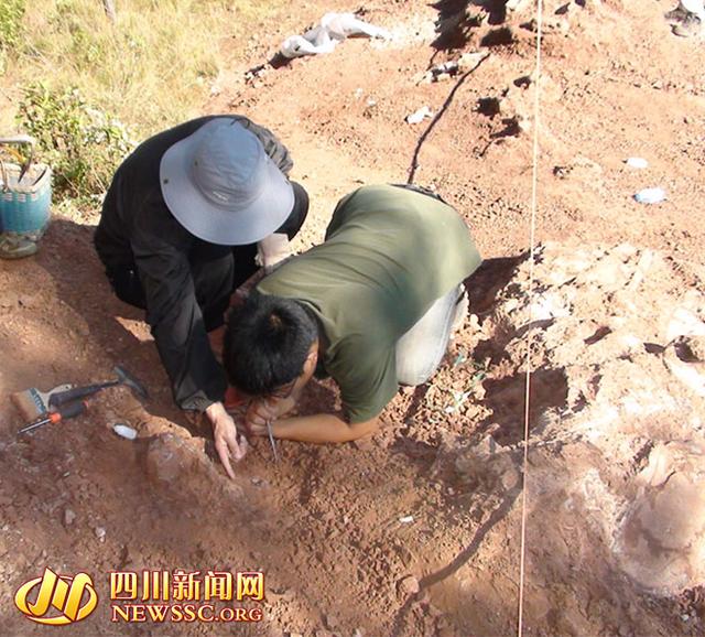 2014年12月中旬,在会理县南阁乡一山顶现场,专家正在对埋藏的恐龙化石进行清理 ,会理县文管所供图