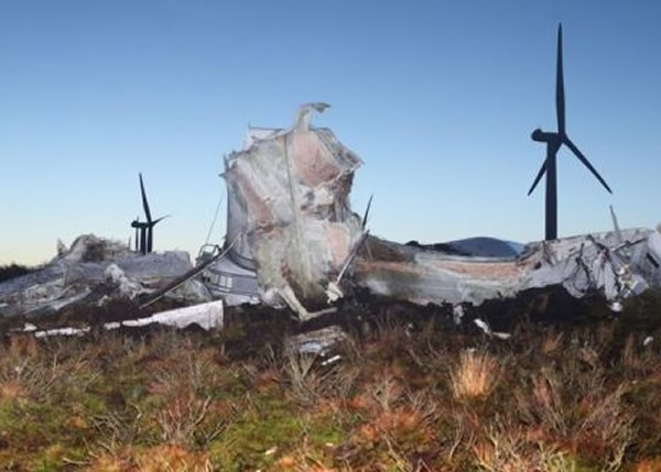 照片中可见叶片严重毁损