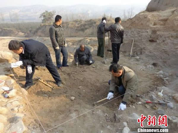 丁村遗址抢救性发掘现场