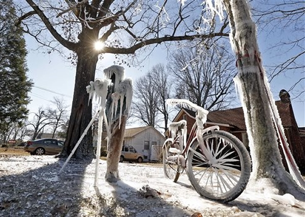 �������������������ľ��˪