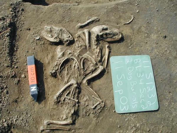 ŵݿʥ·˹ĵط˱ļҹ˸õʱ(6601350ǰ)˹ϵͼƬԴŵſ̽ԭо