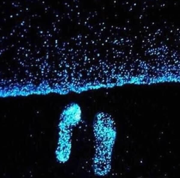 רҷˮΪˮоۼ˱ëȷ΢