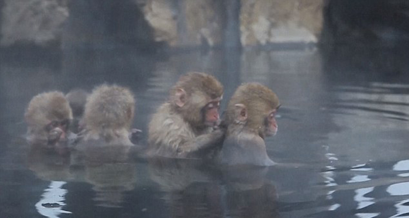 尽管这个温泉度假胜地比较偏远,但每年依然有10万游客到访。